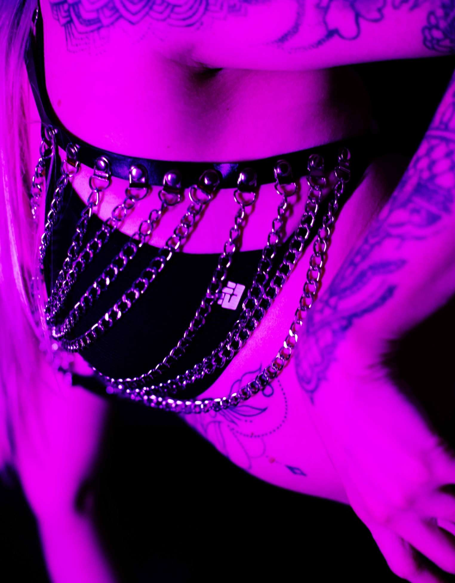 Leather silver chain harnas set (3)